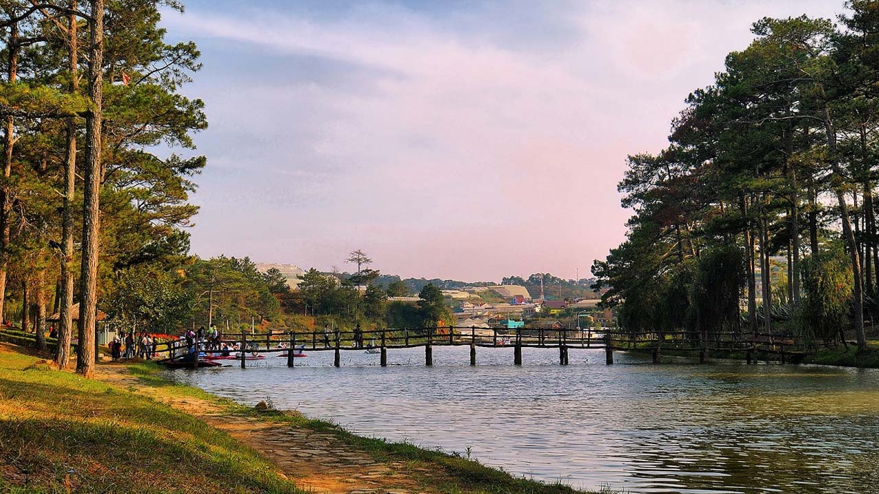 Rừng thông hồ Than Thở
